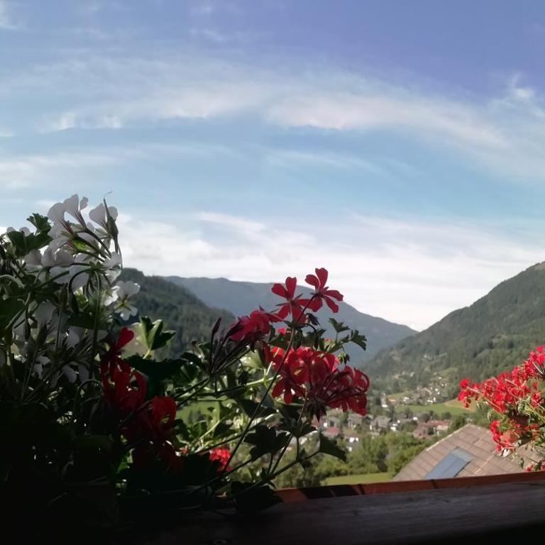 Landhaus Hinteregger - Doppelzimmer mit Balkon - 1