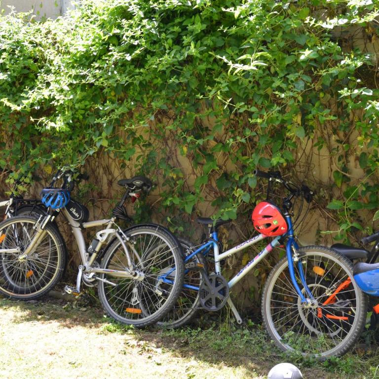 Instant-Léman - Studio avec Jardin - 4