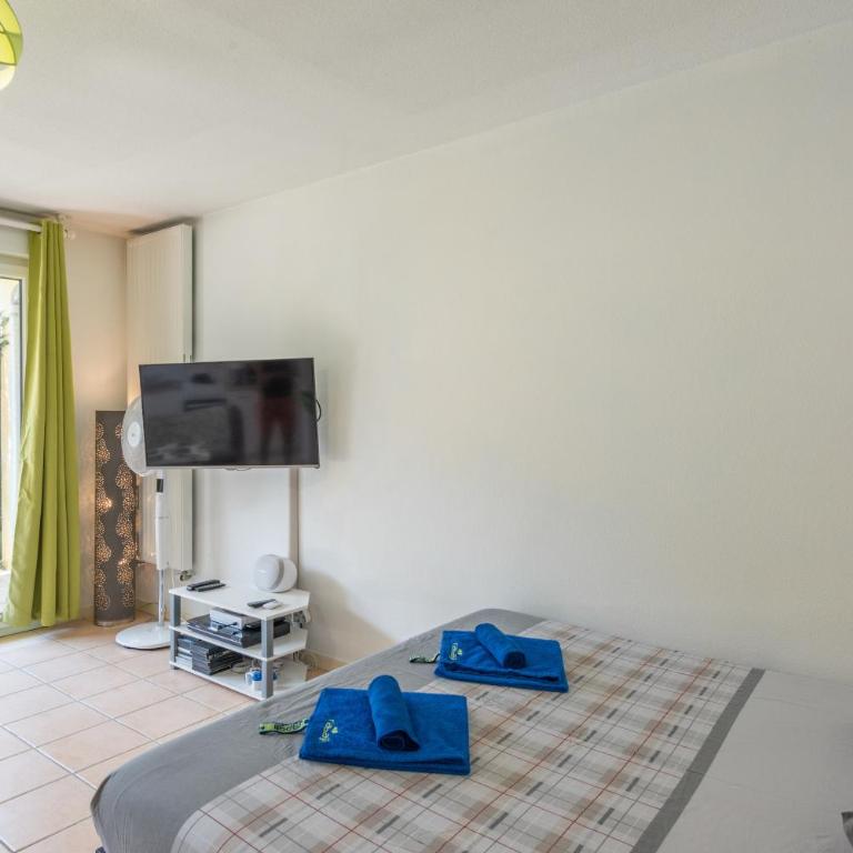 Instant-Léman - Studio avec Jardin - 19