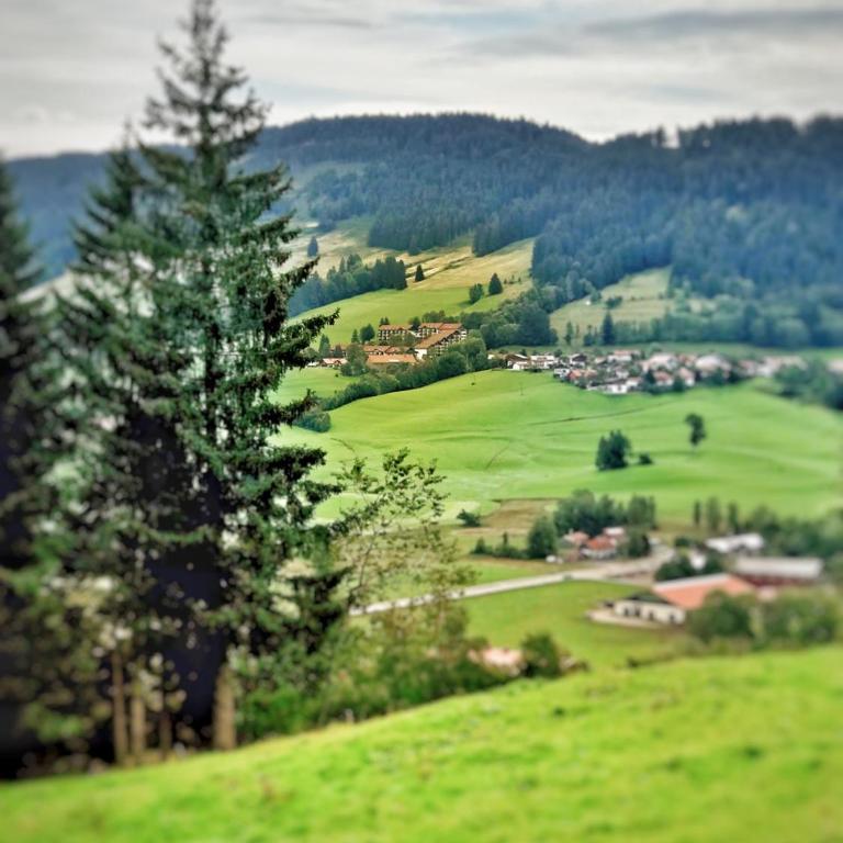 Ferienwohnung - Missen-Wilhams Allgäu - Apartment mit 1 Schlafzimmer - 13