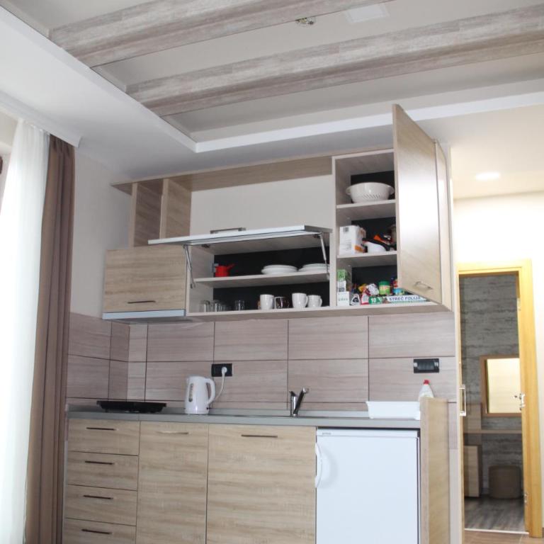 Lux apartment Milmari Reko E4 Kopaonik - One-Bedroom Apartment - 10