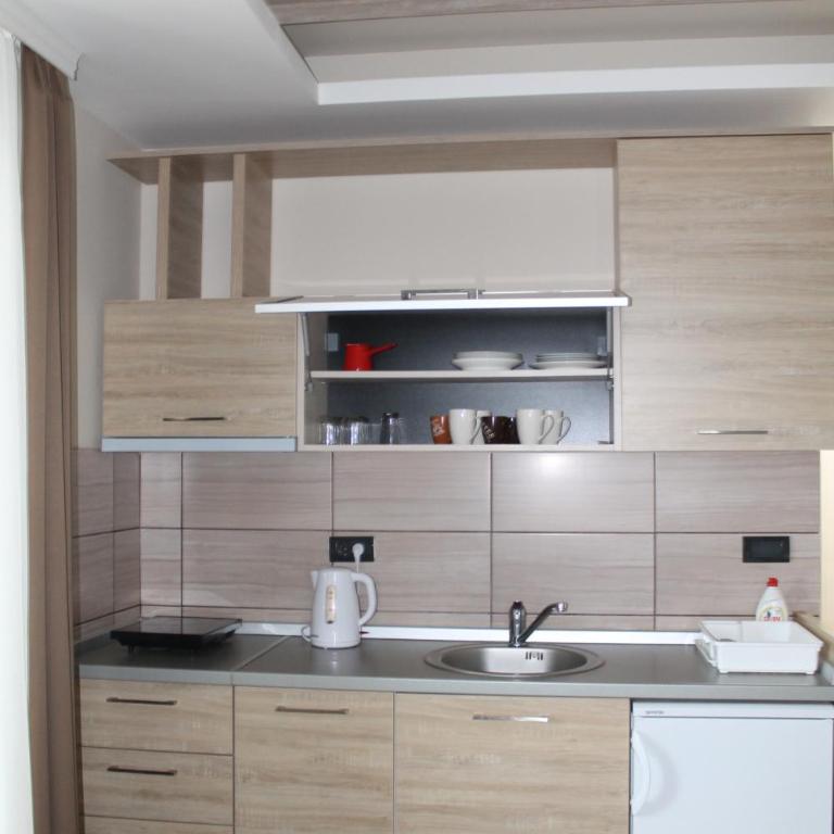 Lux apartment Milmari Reko E4 Kopaonik - One-Bedroom Apartment - 11