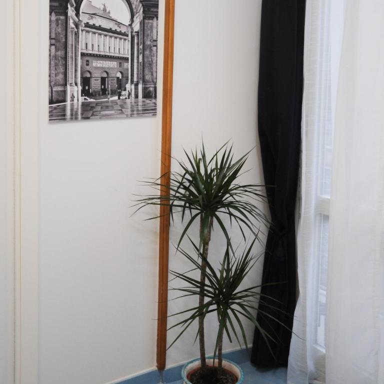 Casa Sassolini - Appartamento Turchese - 10