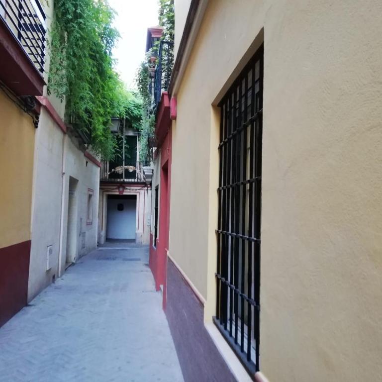 Apartamento en la Judería de Sevilla - Apartamento de 2 dormitorios - 15