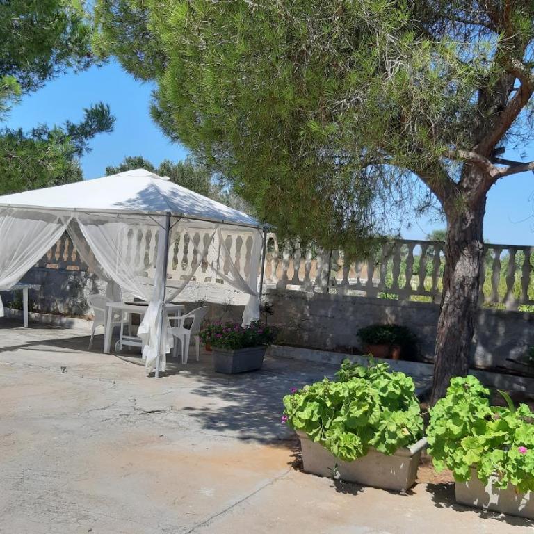 Poggio Fiorito - Monolocale - 9
