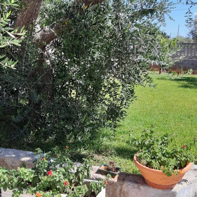 Poggio Fiorito - Monolocale - 5