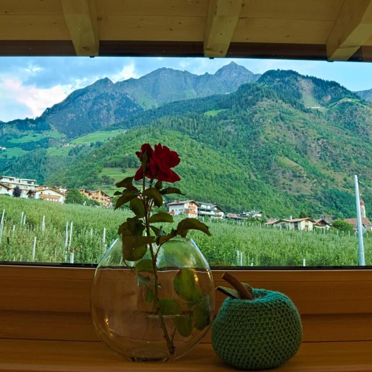 Pröfinghof - Urlaub auf dem Biobauernhof - Appartamento con 2 Camere da Letto - 8