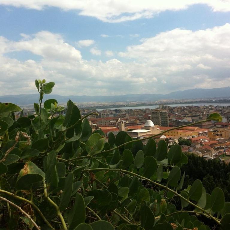 Little Cagliari - Studio - 27