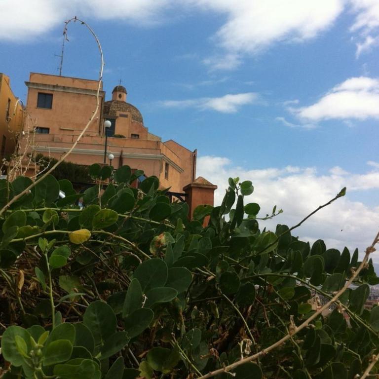Little Cagliari - Studio - 25