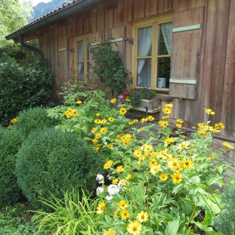 Haus Juna - Apartment - 5