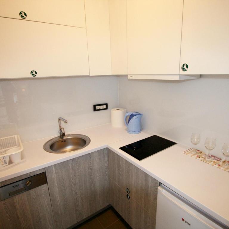 Vracar - Apartman sa 1 Spavaćom Sobom - 1