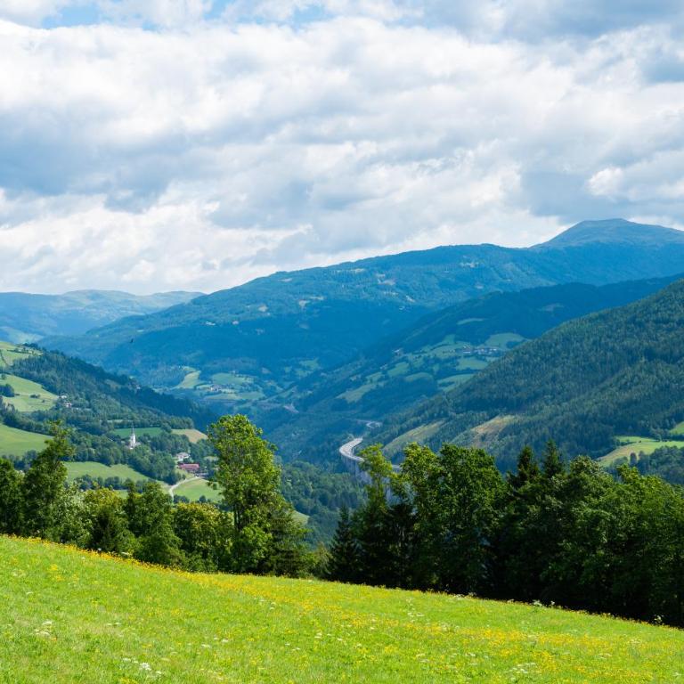 Hansbauer Appartments - Apartment mit Blick auf die Berge - 1