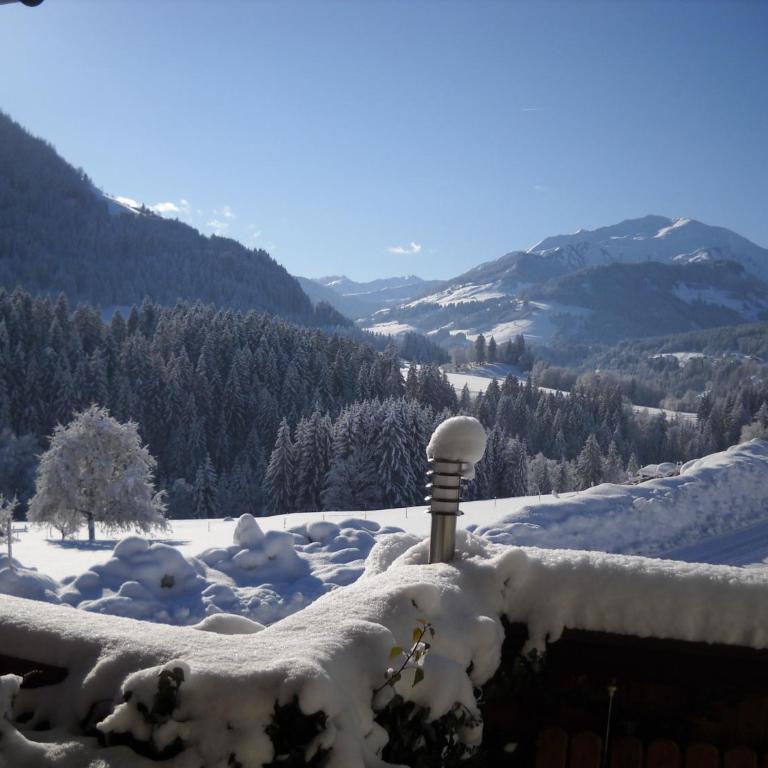 Appartement Schilcher - Apartment mit 2 Schlafzimmern und Terrasse - 19