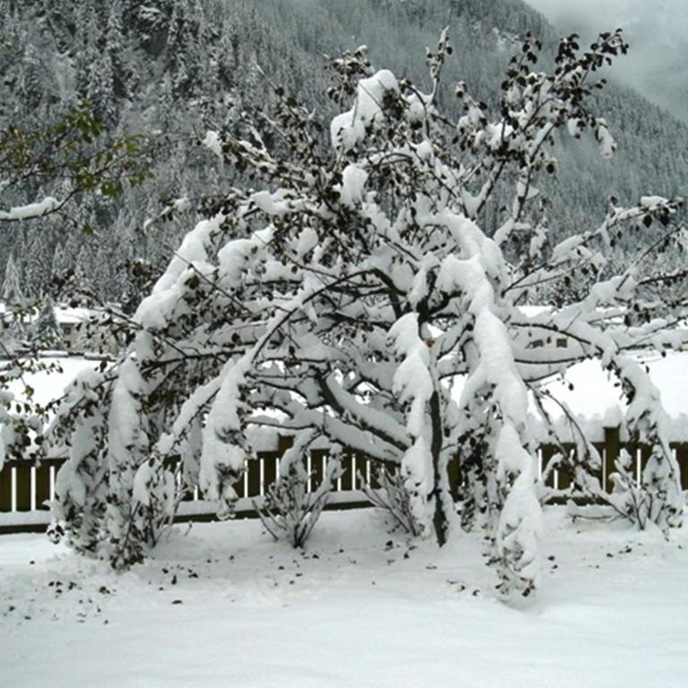 Haus Cornelia - Apartment mit 2 Schlafzimmern - 38