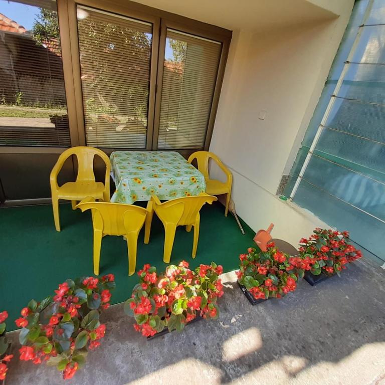 Apartmani Perovic - Two-Bedroom Apartment - 11