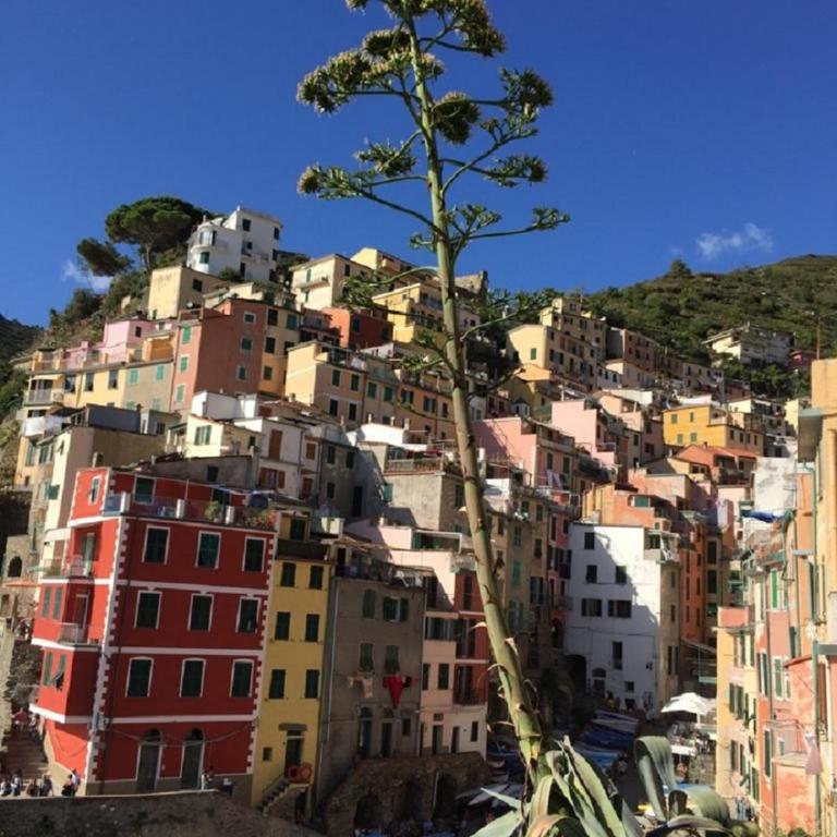 Sergeant First Class Riomaggiore - Appartamento con 1 Camera da Letto - 3