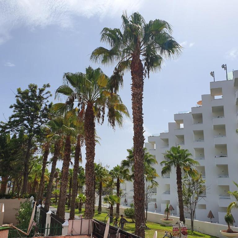 Spectacular Renovated Apartment, 5 min to Camison Beach, with AirCon - Apartamento de 1 dormitorio - 53