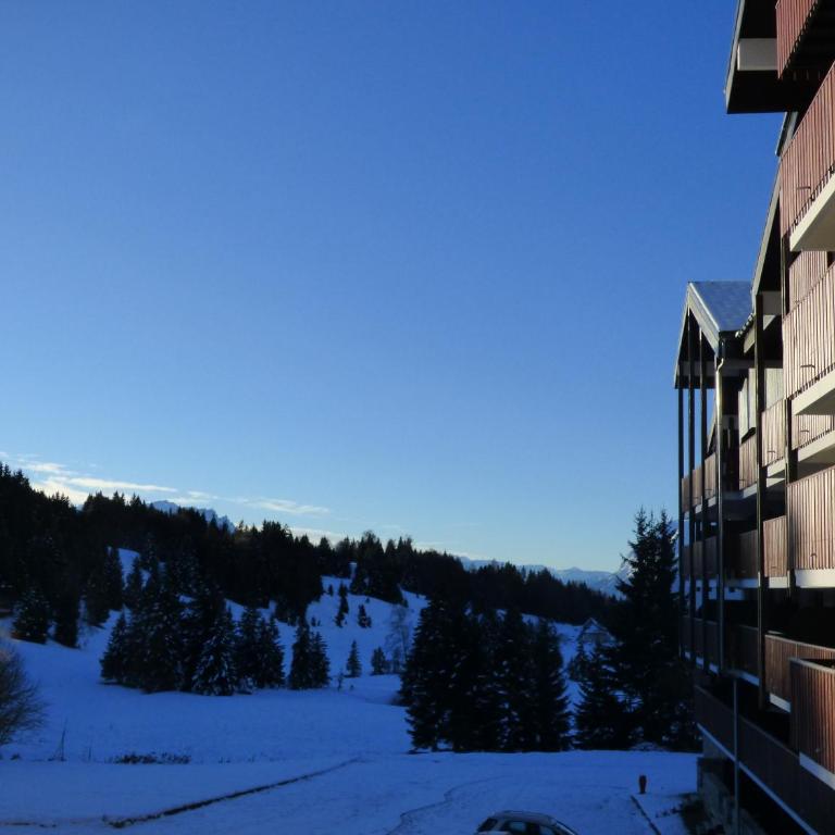 Le Génépi - Appartement 1 Chambre - 22