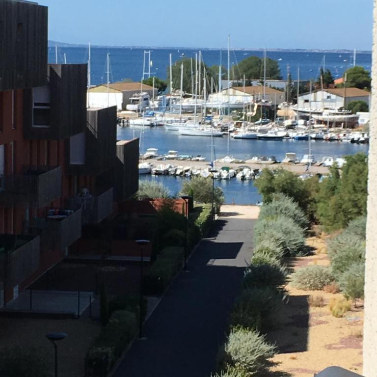 Bleu de Thau - Apartamento de 1 dormitorio con terraza - 8