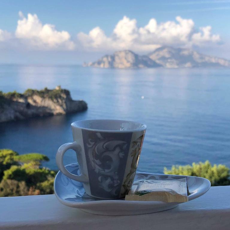 Il Sogno di Lina Sorrento Coast Capri View - Casa con 2 Camere da Letto - 41