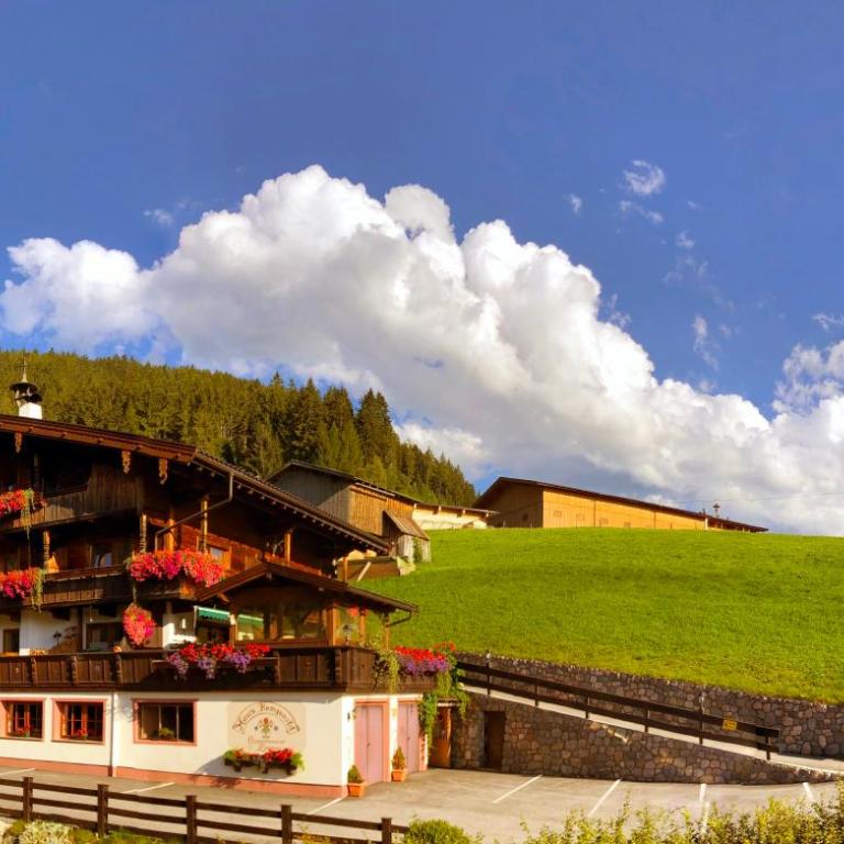 Bergwald Appartements Alpbach - Apartment mit 2 Schlafzimmern - 39