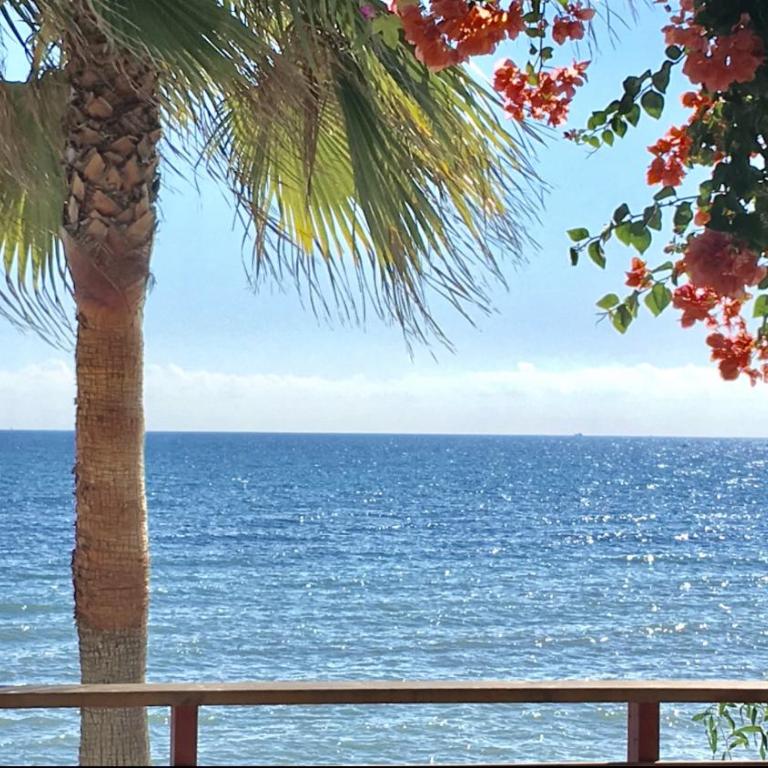 MI CAPRICHO B16 Beachfront Apartment - Apartamento de 2 dormitorios - 18