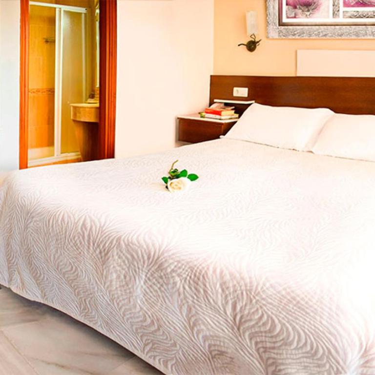 Hotel Albero - Double or Twin Room - 6