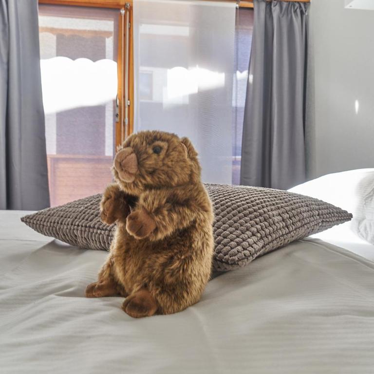 Hotel Marmotte - Einzelzimmer - 3
