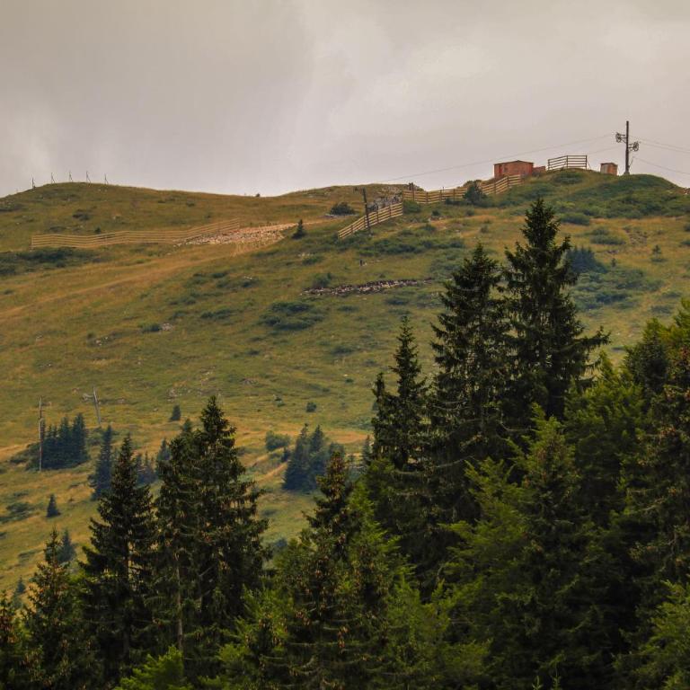 Vučko Private Apartment with balcony - Apartment with Mountain View - 32