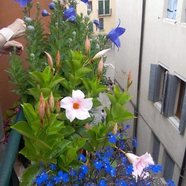 Ca' San Silvestro 2 terrazze nel cuore di Venezia - One-Bedroom Apartment - 10