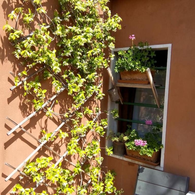 Ca' San Silvestro 2 terrazze nel cuore di Venezia - One-Bedroom Apartment - 6