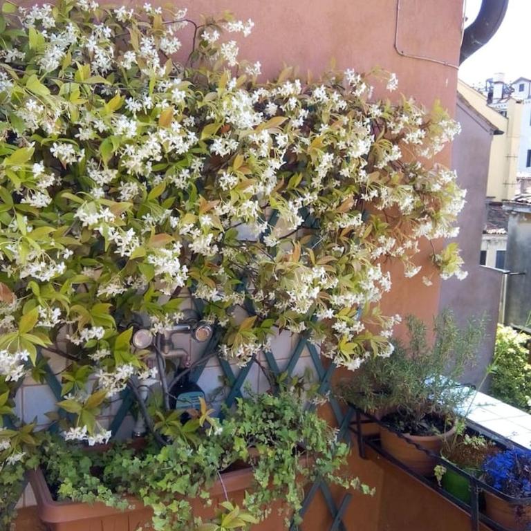 Ca' San Silvestro 2 terrazze nel cuore di Venezia - One-Bedroom Apartment - 7