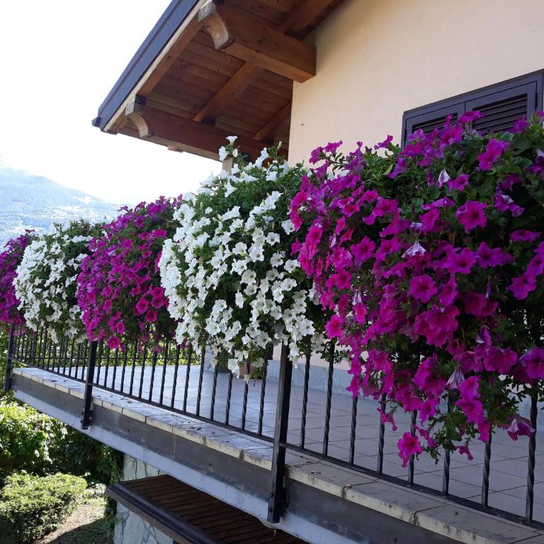 Villetta maison hélène CIR n 0391 - Villa con 2 Camere da Letto - 4