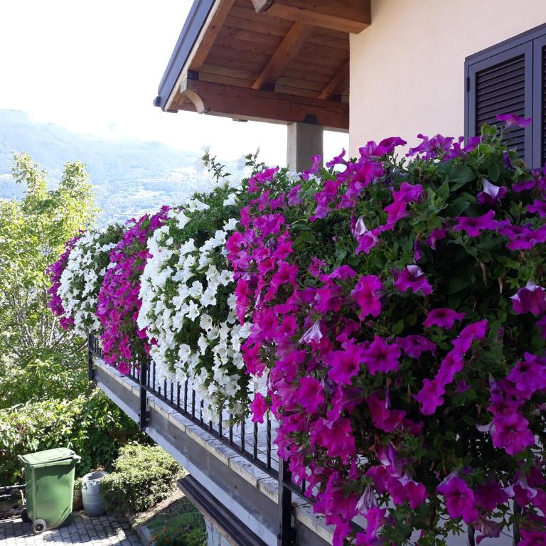 Villetta maison hélène CIR n 0391 - Villa con 2 Camere da Letto - 3