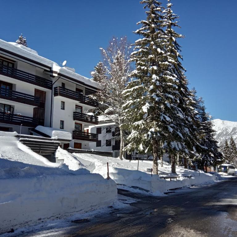 Casa Cinque Funghi a Folgarida - Two-Bedroom Apartment - 31