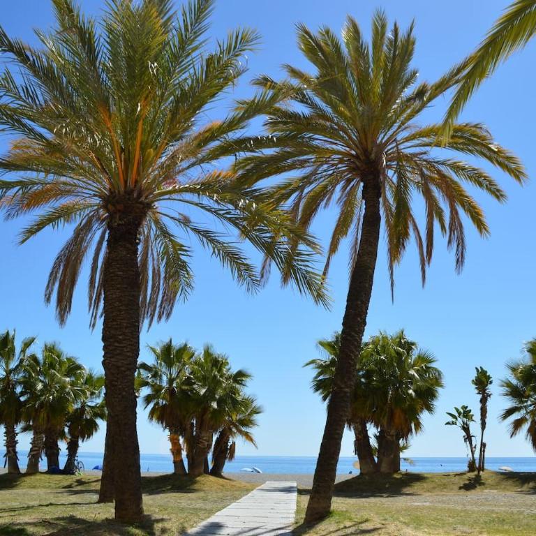 M&A Apartamento de Playa con Garaje - Apartamento de 3 dormitorios - 22