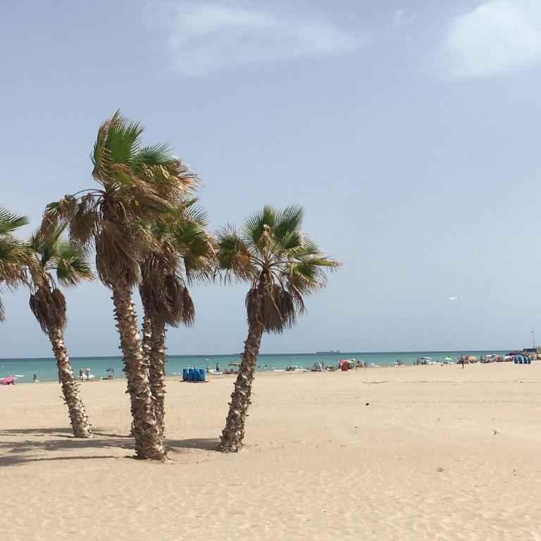 Fantastico bajo con Jardin en Playa de Canet - Apartamento de 3 dormitorios - 17