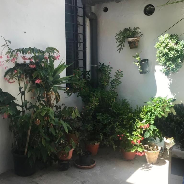 MARIÑIGUEZ APARTAMENT. - Casa de 3 dormitorios - 22