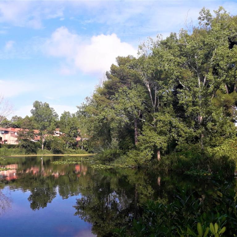 Domaine de La Coudouliere, Vue Mer, Plage, Piscine et Parc - One-Bedroom Apartment - 64