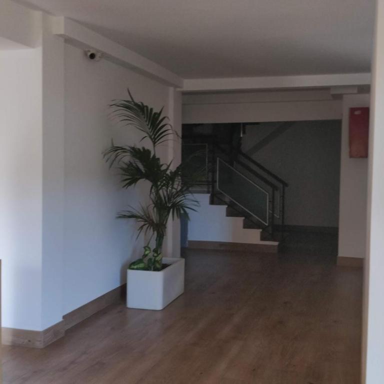 Estudio Boutique - Estudio Deluxe - 30