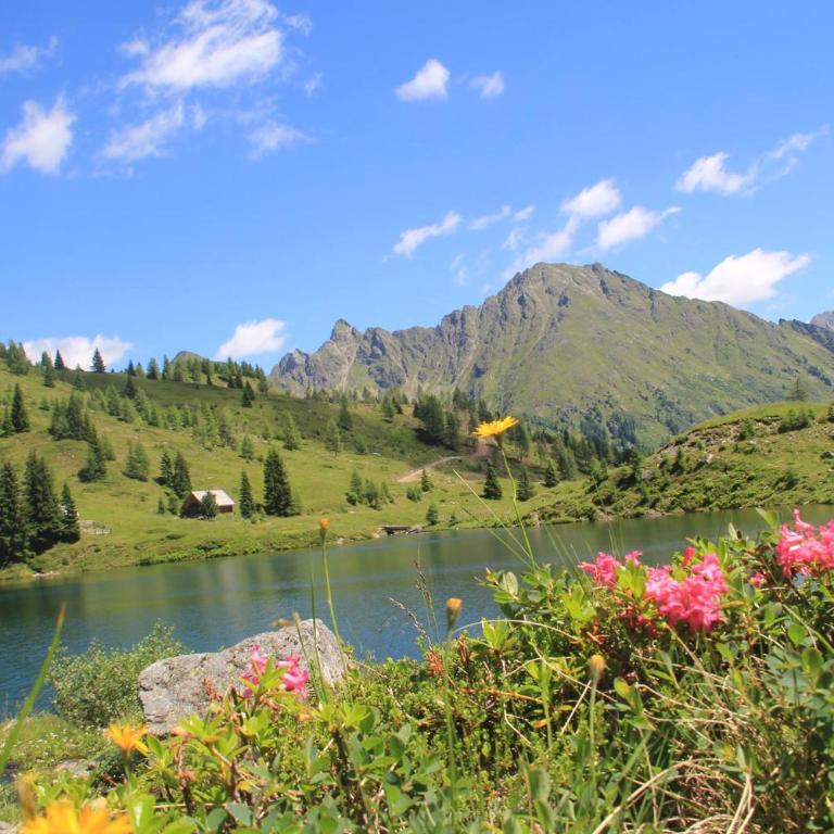 Alpenchalets Weissenbacher - Chalet 2 Chambres - 12
