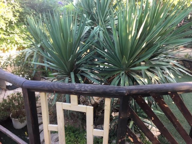439 HOUSE - Casa Vacanze - 27