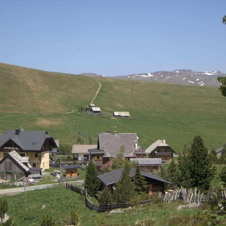 Almhaus Heidi Nockberge - Ferienhaus - 50