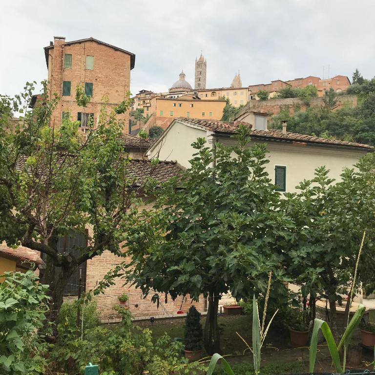 To dream in Siena - Appartamento con 2 Camere da Letto - 28