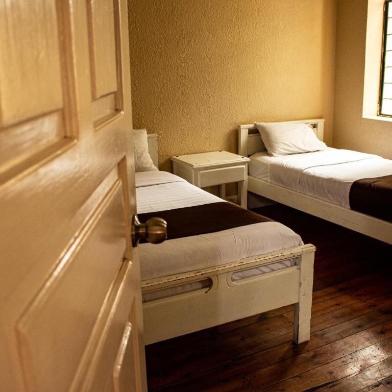 Hostal Loro Verde - Habitación Triple - 1