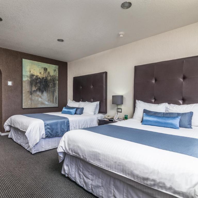 Pueblo Amigo Hotel Plaza y Casino - Double Room with Garden View - 2