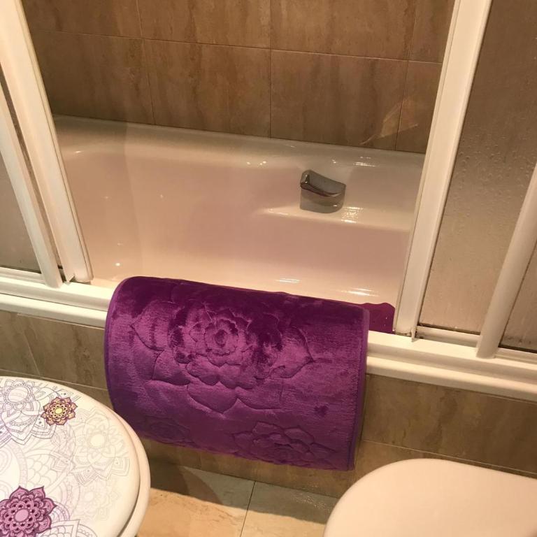 CONOCE CANGAS DE ONIS - Apartamento de 2 dormitorios - 10