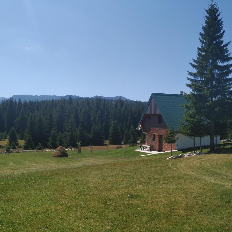 House in forest - Three-Bedroom House - 61