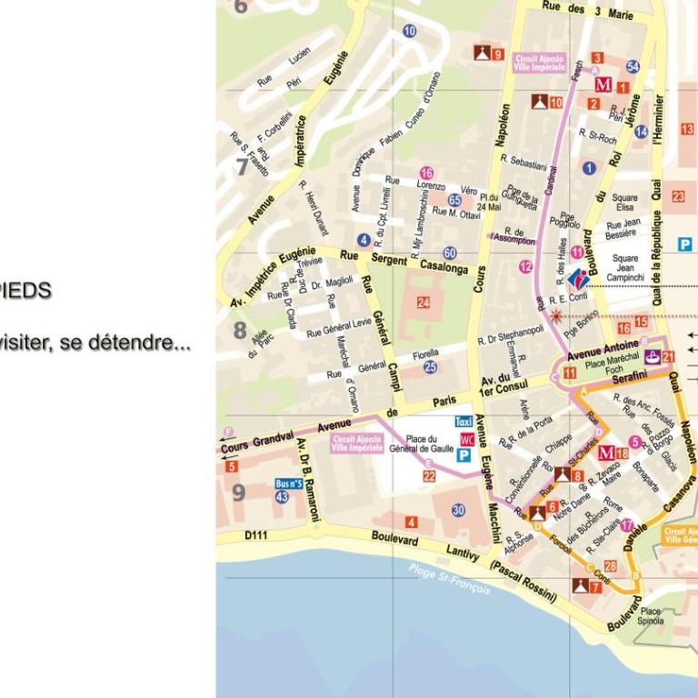 Le Studio du Cardinal Central/ Wifi/ Ajaccio à pieds! - Appartement 1 Chambre - 40