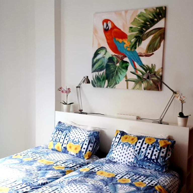 City Beach Home - Apartamento Estudio - 33